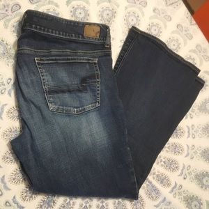 American Eagle Artist Jeans 💎 Size 18 Short